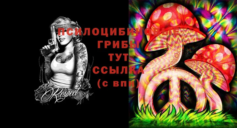 Псилоцибиновые грибы MAGIC MUSHROOMS  цены   Липецк 